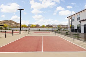 AZ San Tan Valley Stella 42