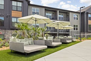 The Pullman 46 Resized